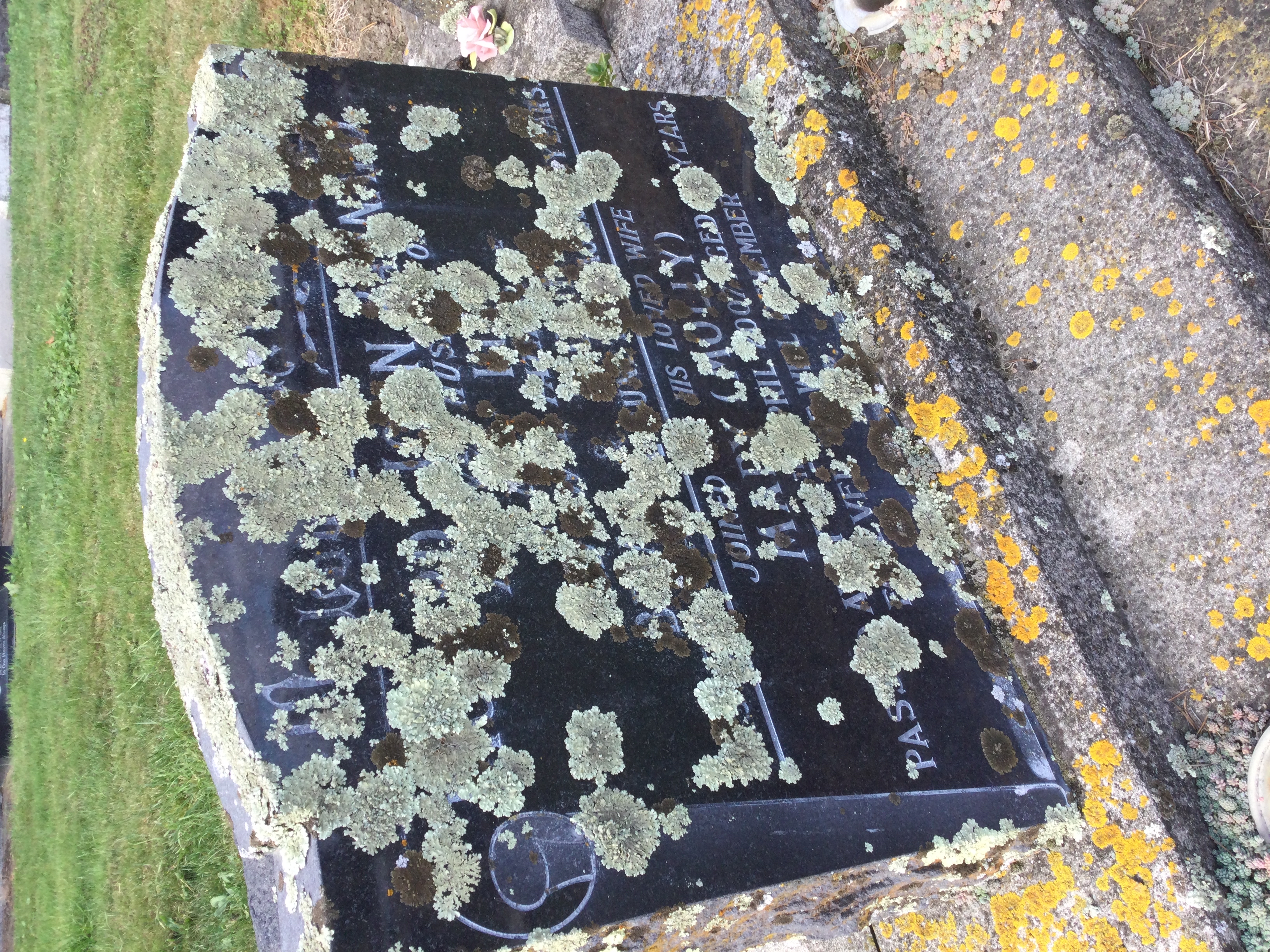 headstone