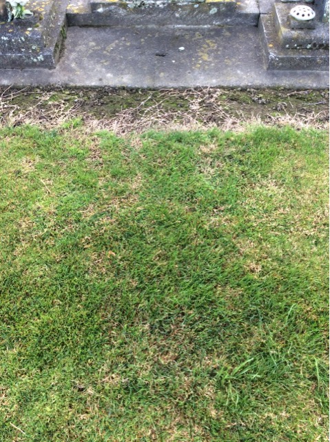 headstone