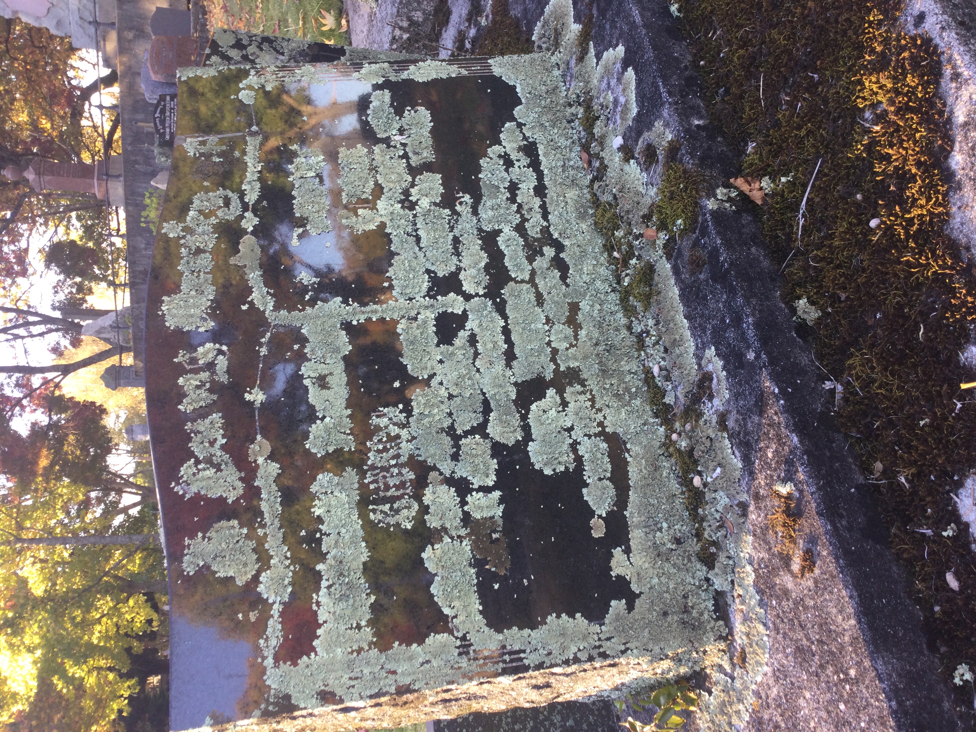 headstone