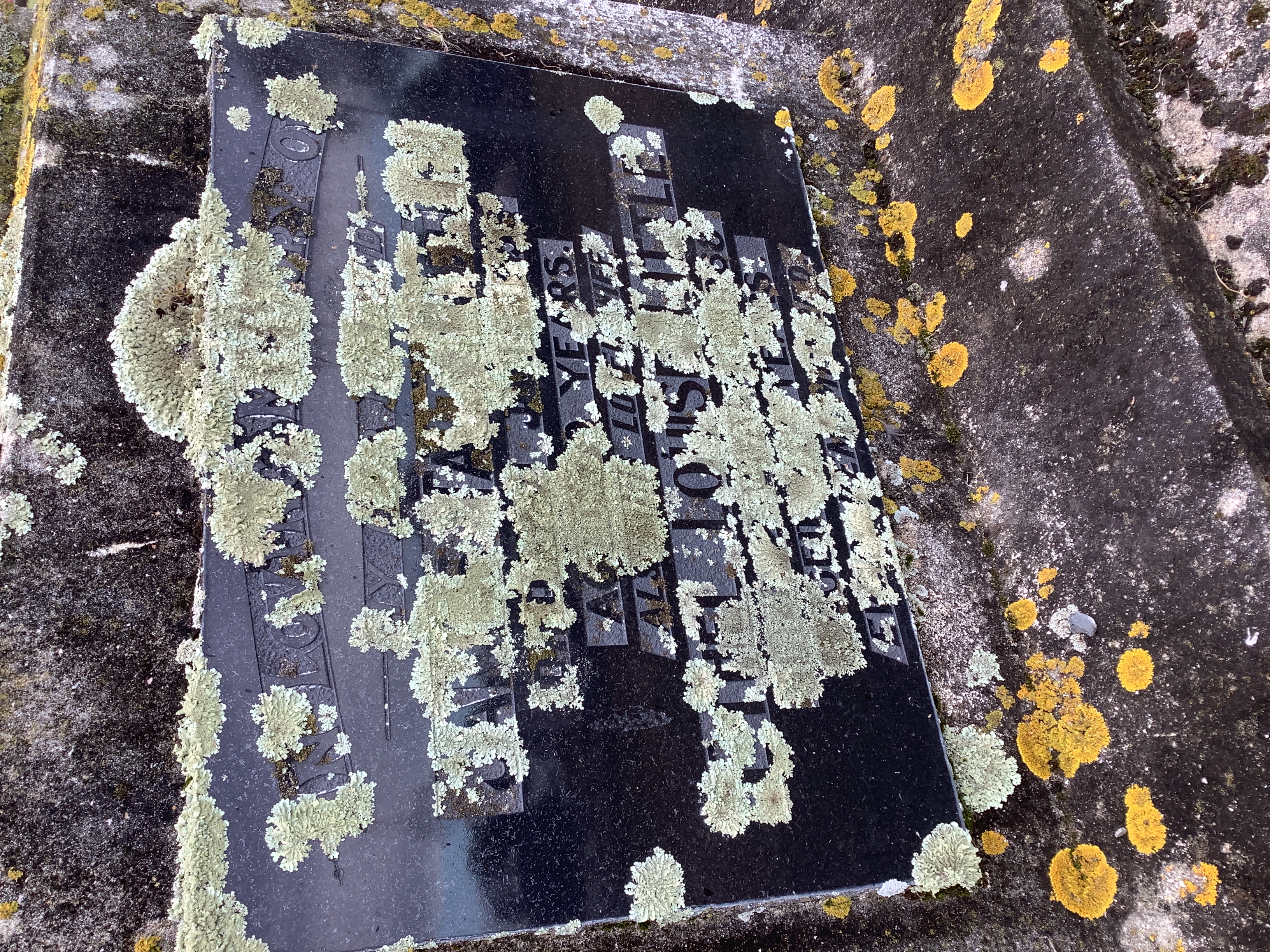 headstone