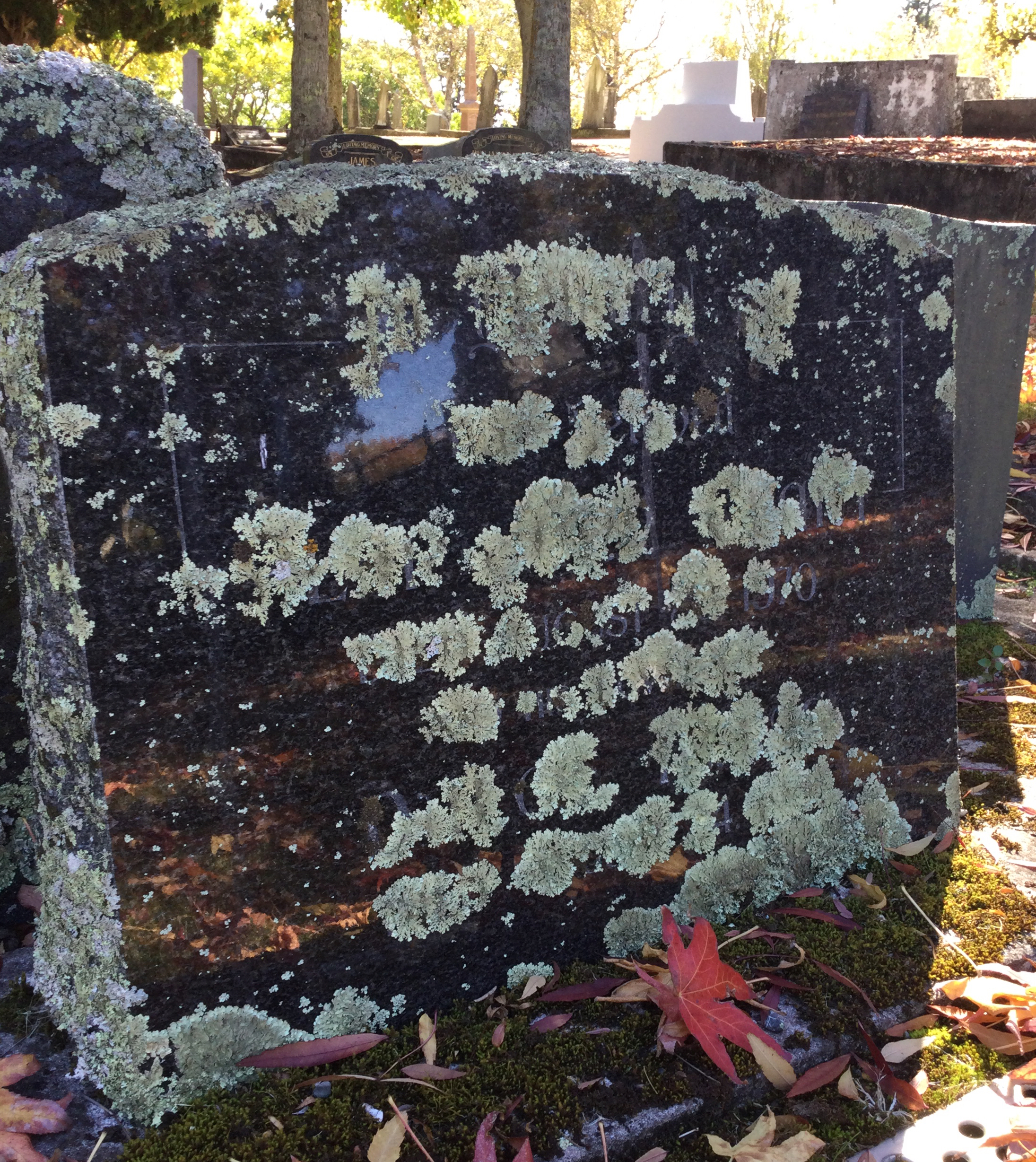 headstone